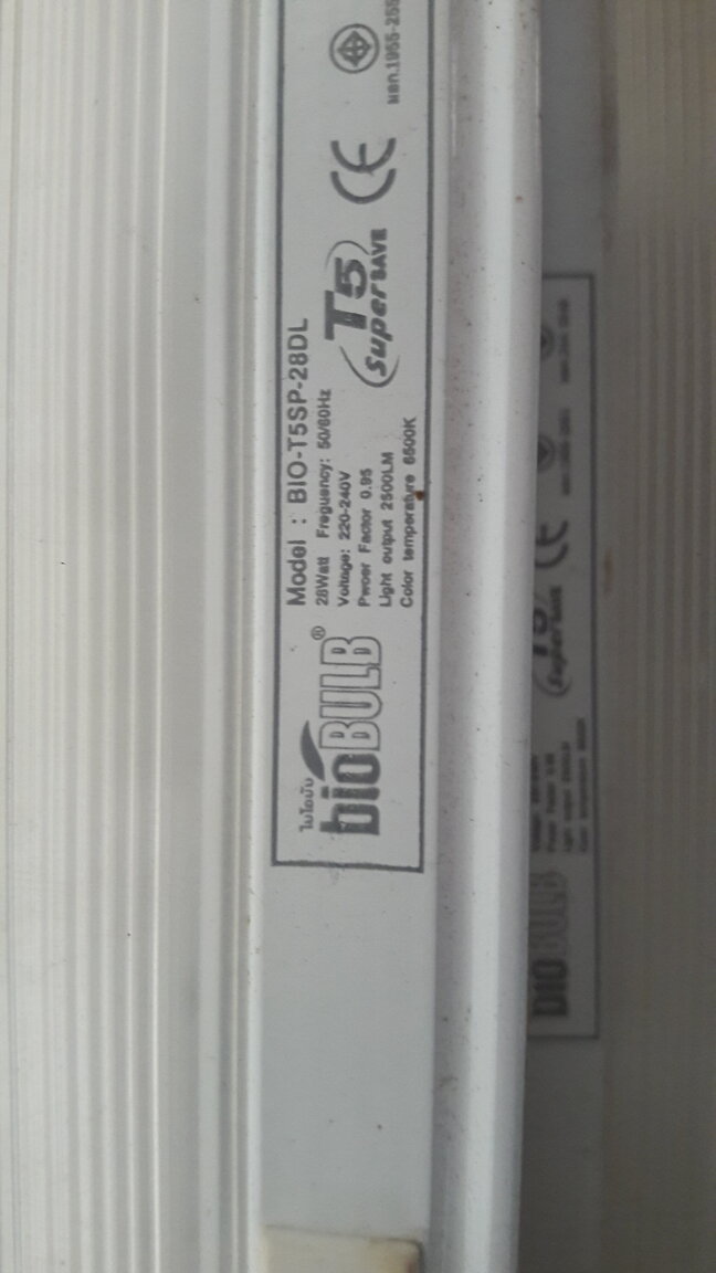 20201126_131904.jpg