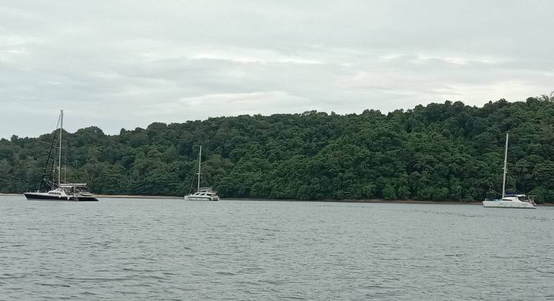 3 yachts.jpg