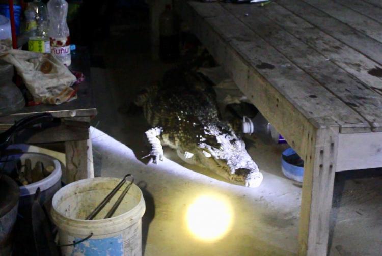 3b493aded7a5d9f10de3d31ecf11417cda0d36df8a9e981cbbe39f67a81d1af8.jpg