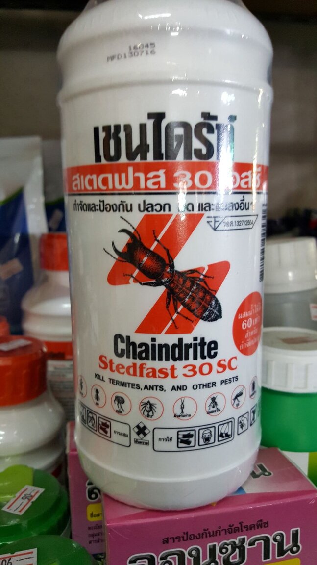 Chaindrite Stedfast 30 SC.jpg