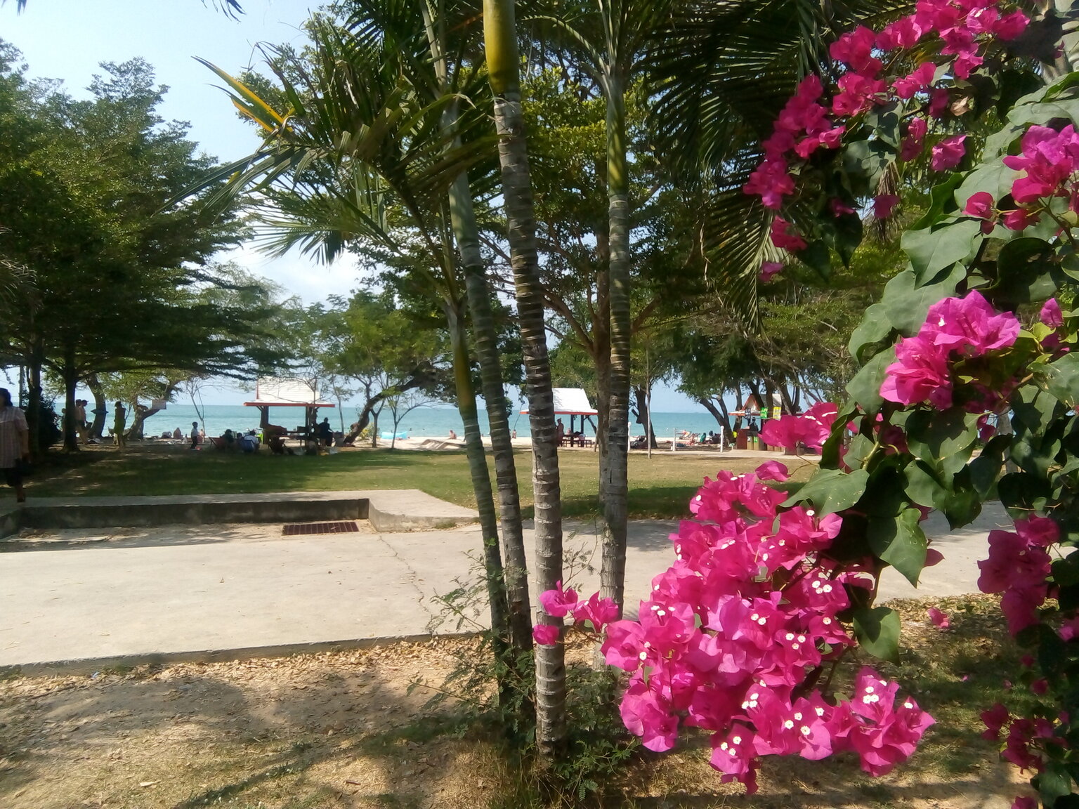 SAI KAEW BEACH 1.jpg