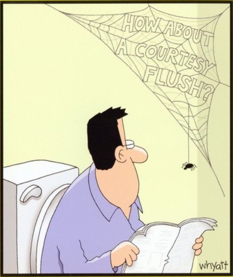 CourtesyFlush.jpg.0e611bbb6e1ff78c6bd9bc9f8420151b.jpg