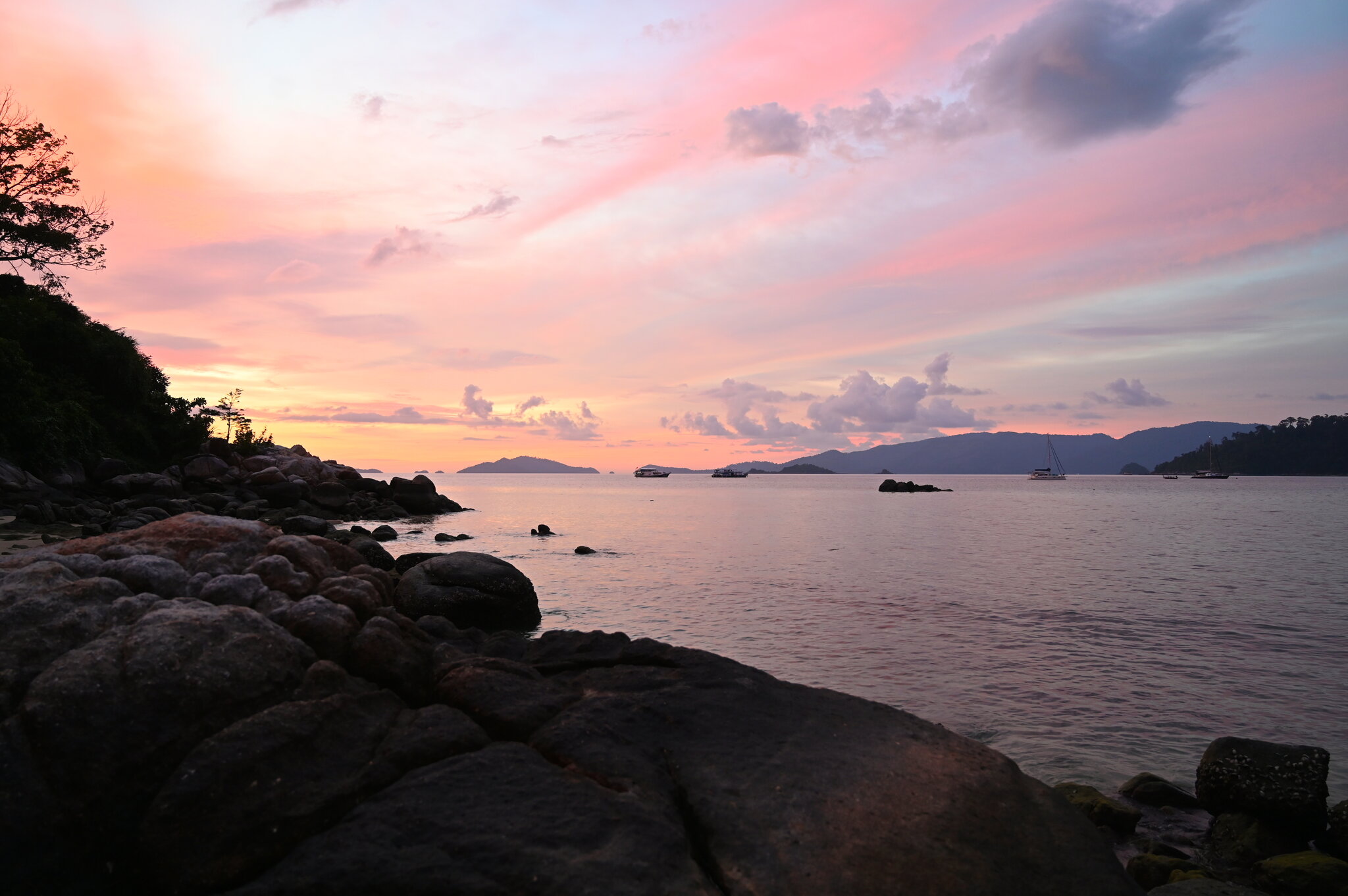 DSC_4547.thumb.JPG.5d542026d65340ed5ce2e6597688d28c.JPG