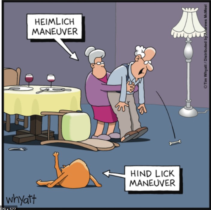 HindLickManoever.jpg.641c25201ebb71c29db23da8263105a7.jpg