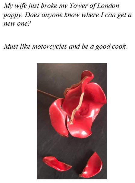 TOLPoppy.jpg.6cbcd241301f9c3e6a702fcb8c3d3109.jpg