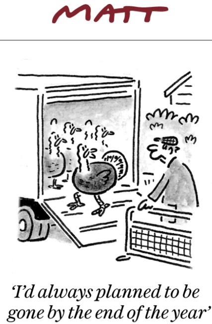 TurkeyCummings_Matt.jpg.87906875d8e3053bdc3046cdd778679c.jpg