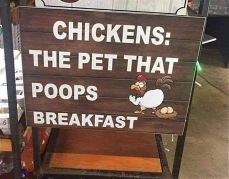 chicken.jpg.44c763588d2780c245e9fa256581cfc4.jpg