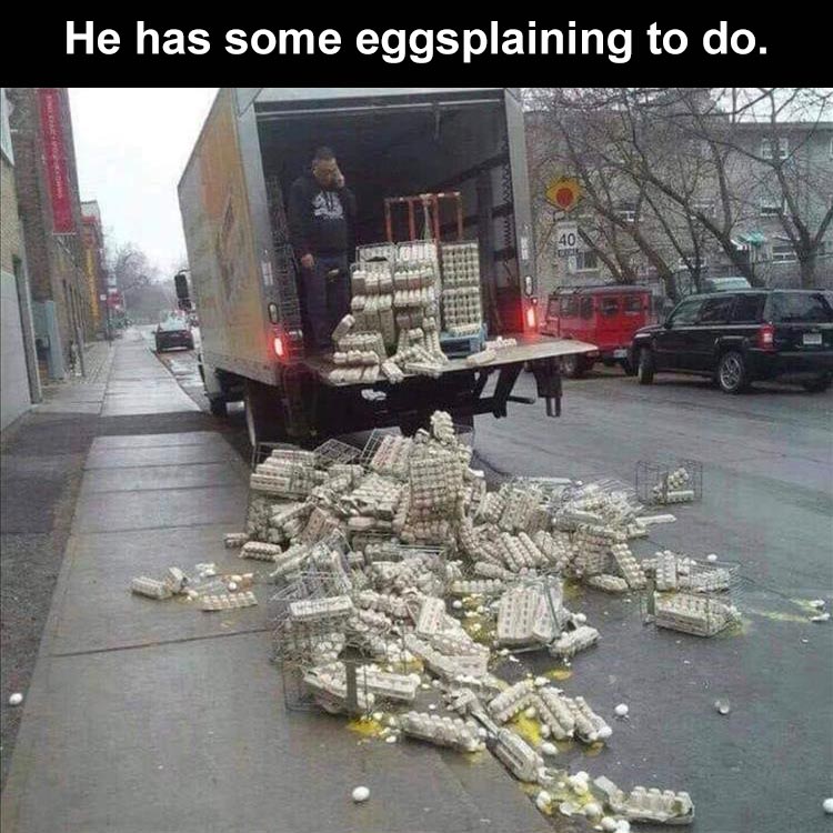 when-I-bet-hes-eggsplaining-to-his-boss-what-happened.jpg.605d7ea32cdcebf69bf0f4b0ef47e1cd.jpg
