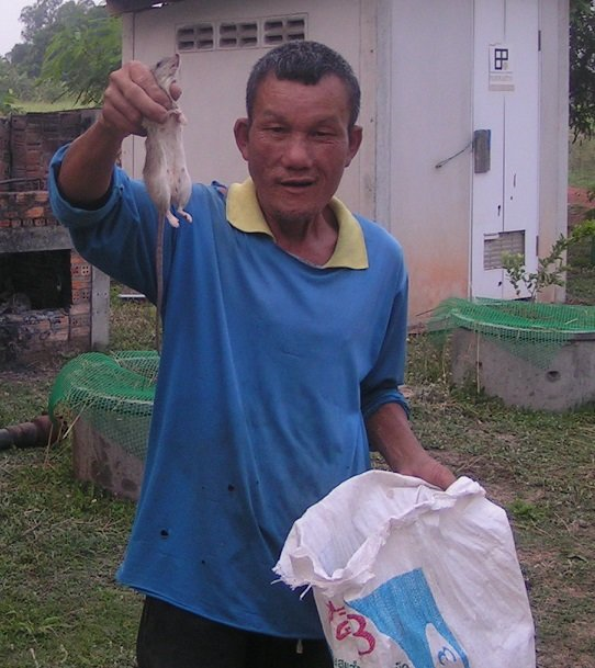 1043894956_April-Localratcatchers.png.296dfed30997fb0fecb449211a424548.png