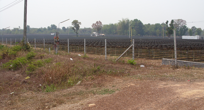 1508683192_solarfarm01.png.2ffce22f47978e6ccf90fd607068be8a.png