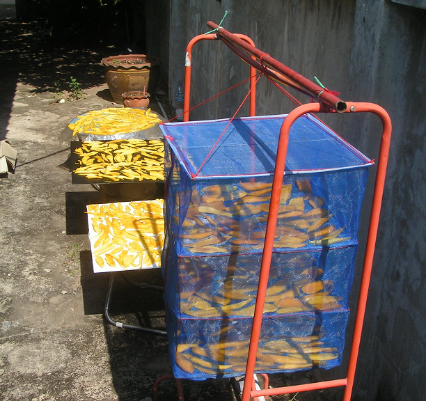 1724968838_April-mangotime.png.cea1ee219e8f1e3ed821da2c4cf7c61e.png