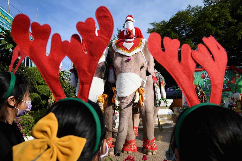 2020-12-23T074427Z_2_LYNXMPEGBM0DX_RTROPTP_4_HEALTH-CORONAVIRUS-THAILAND-CHRISTMAS-ELEPHANTS.JPG