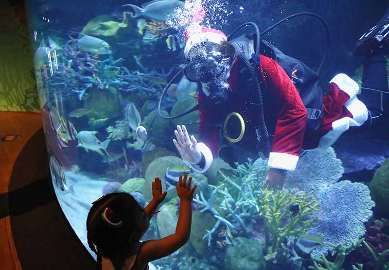 2020-12-24T122348Z_1_LYNXMPEGBN0PY_RTROPTP_4_CHRISTMAS-SEASON-THAILAND-DIVING-SANTA.JPG