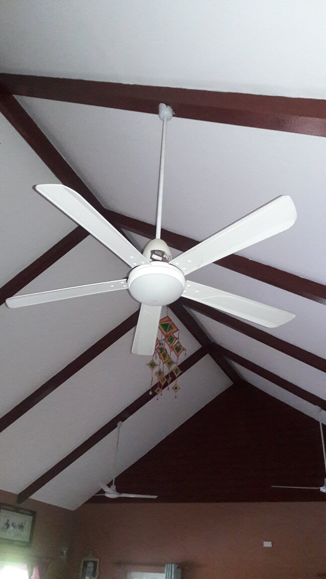 20201214_104652.jpg