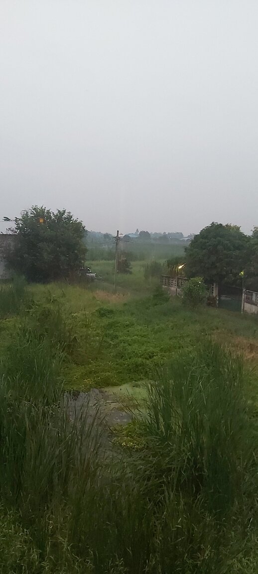 20201214_175749.jpg