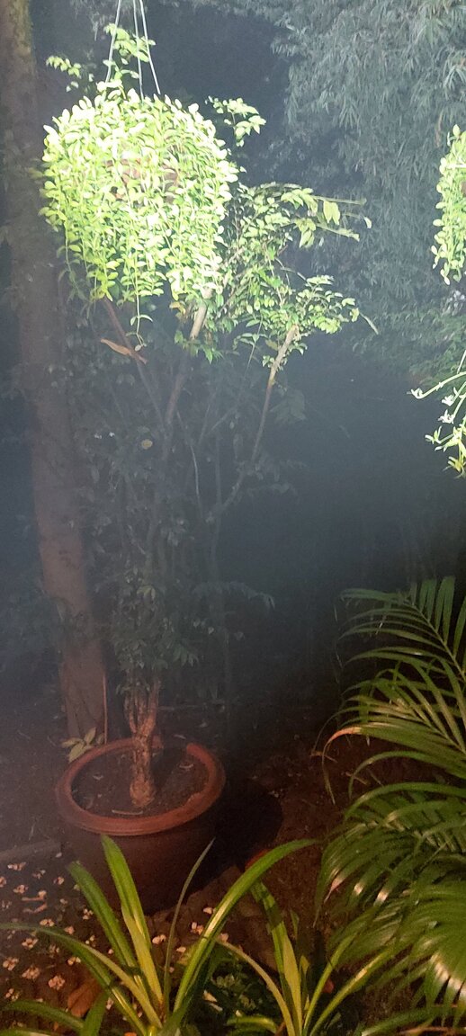 20201215_055044.jpg