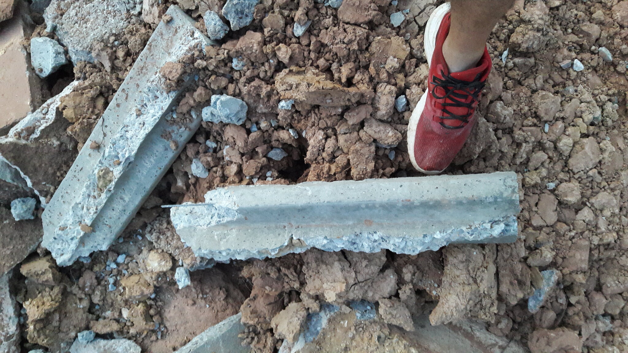 20201215_062732.jpg