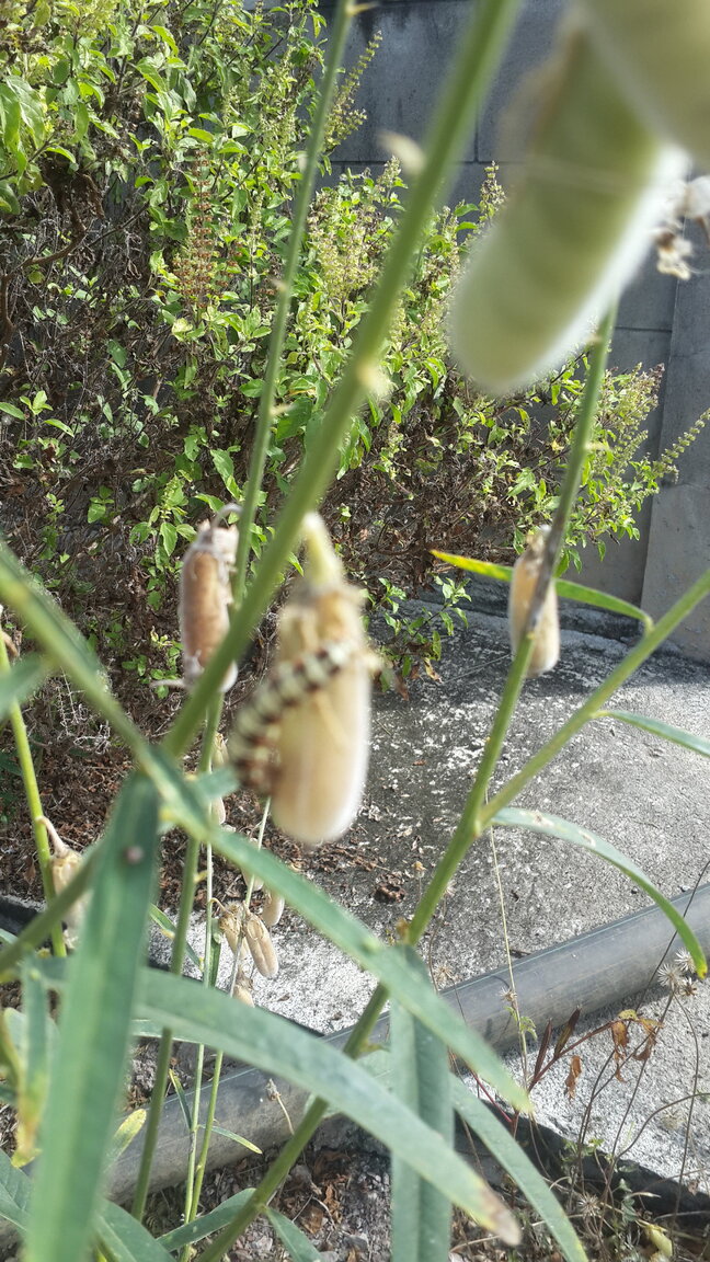 20201216_104307.jpg