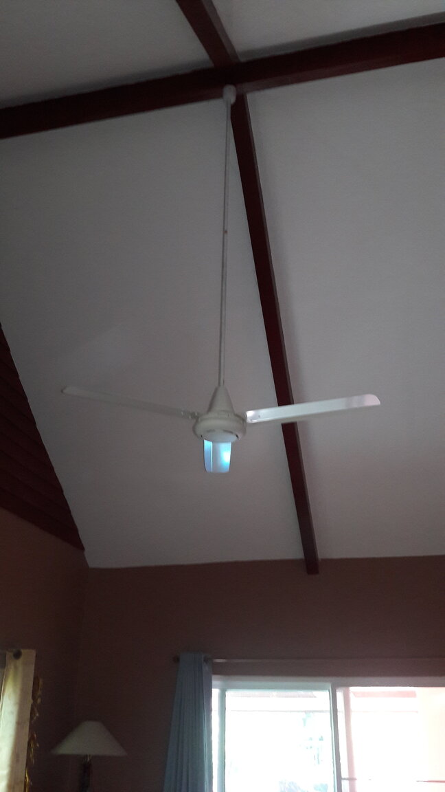 20201216_122054.jpg