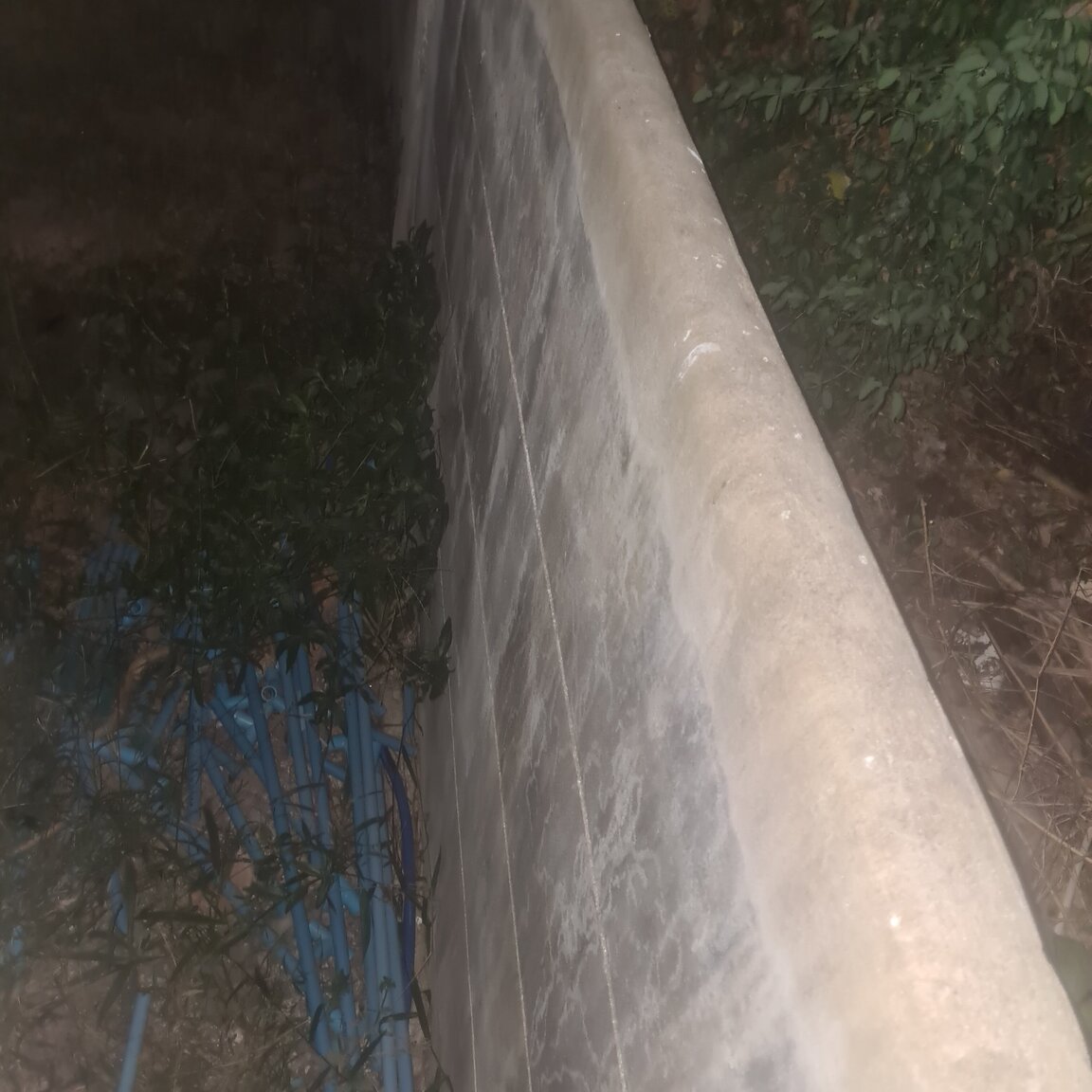20201219_224323.jpg