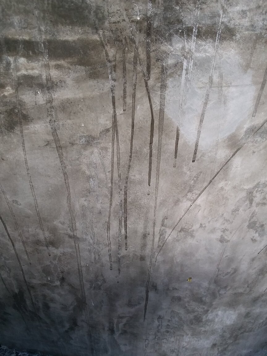 20201226_161840.jpg