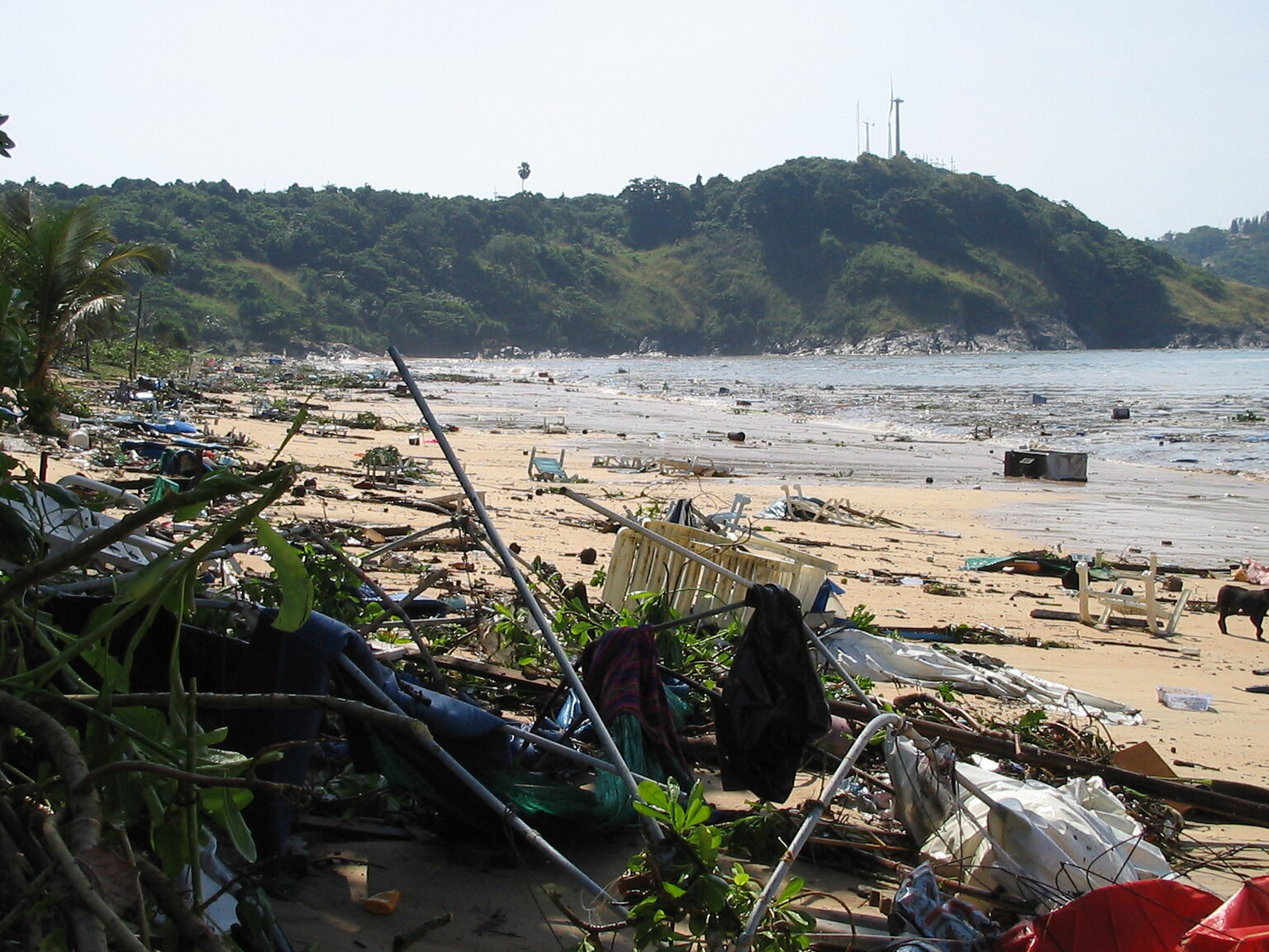 Nai Harn Beach.jpg