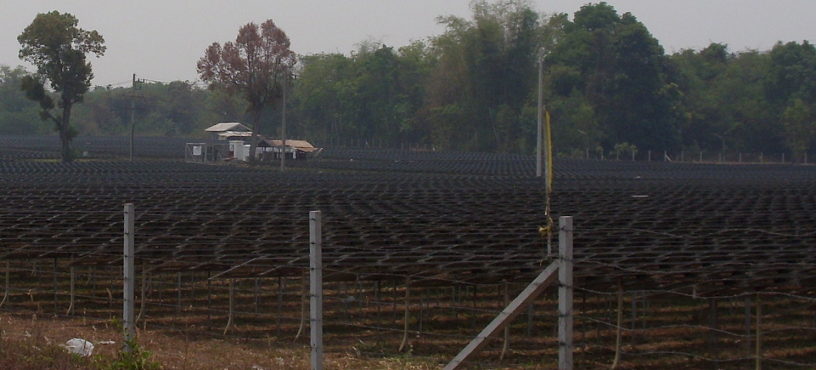 29403957_solarfarm02.png.1b71b96b81f72a5570800aed1e46123c.png