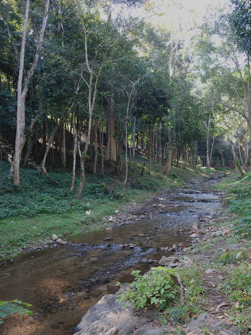 458718616_ChiangDaohotspringscreekhot.thumb.JPG.b0ac2f7f85940bf8f0aa10c6c0677c03.JPG