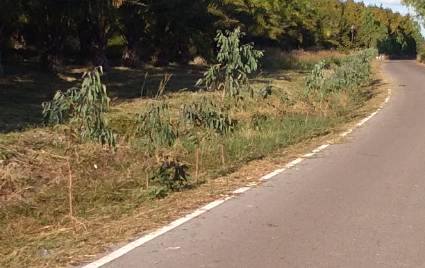 657900342_roadeucas01.png.dbec1a954ce68ad4d52437951e3fa136.png