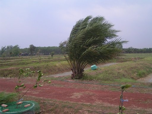 941884816_April-bigwinds.png.ab2d0e8bddbd52e0b8bad55db17eff29.png