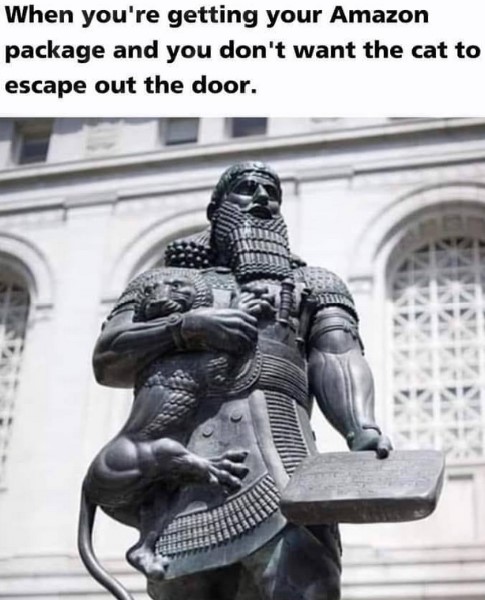 AmazonCat.jpg.dd11dd9e932b62c8f0b16cff8fabdb47.jpg