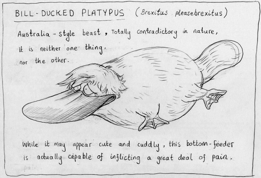 BillDuckedPlatypus_BOB.jpg.4cc9c53c68bac298cf2fe3c33c7c463b.jpg