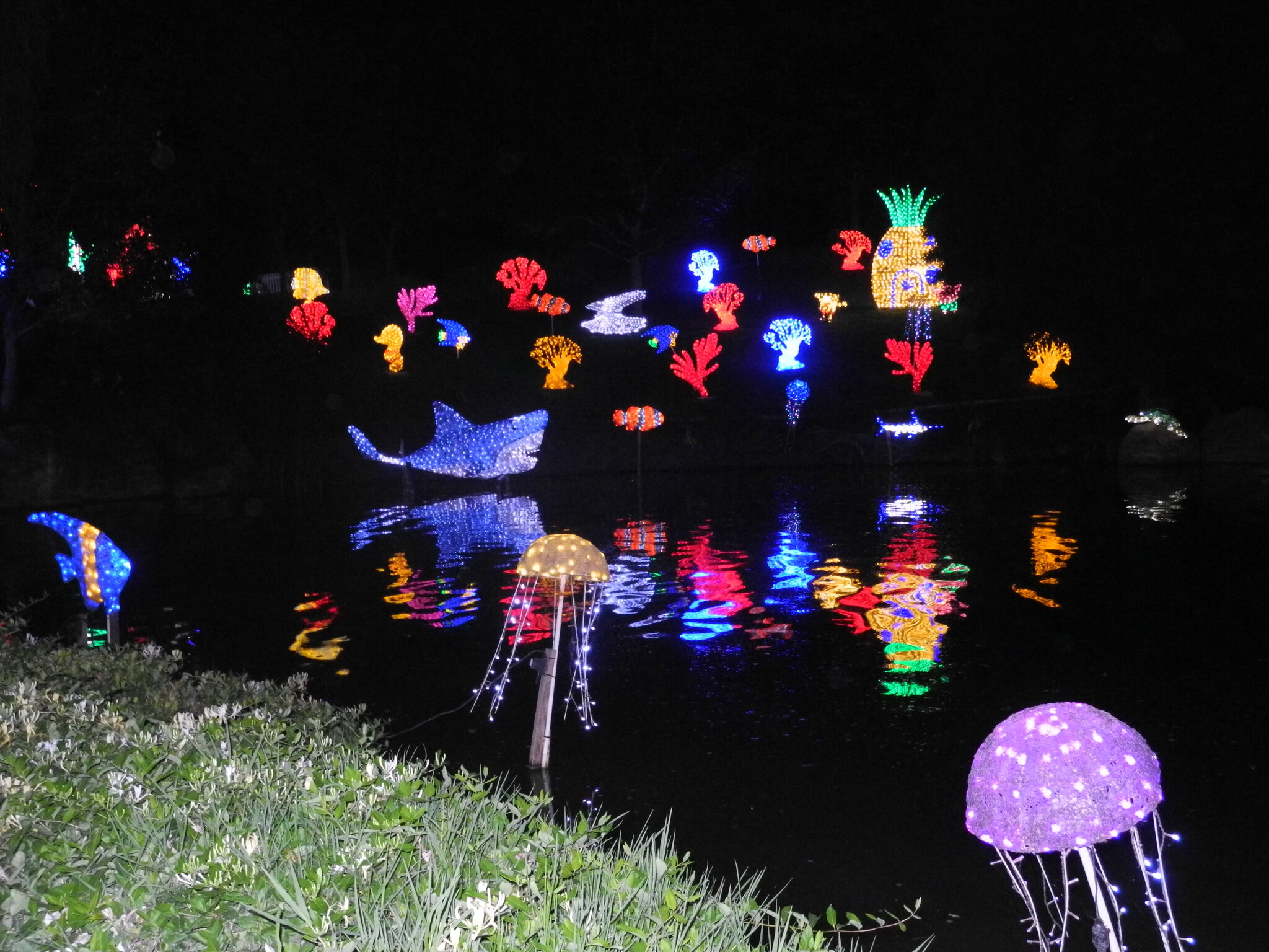 DSCN0527.JPG