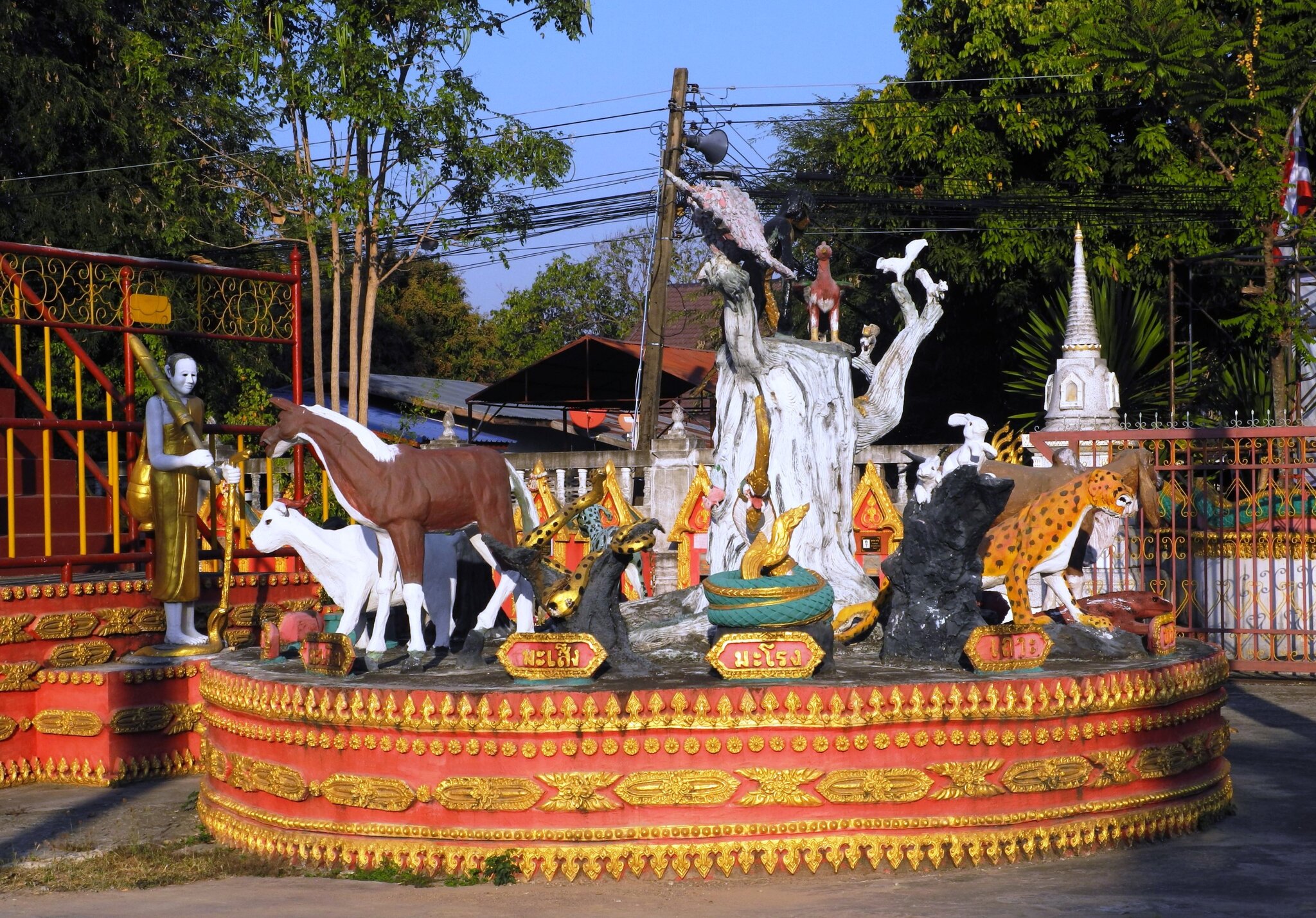 DSCN0712.JPG