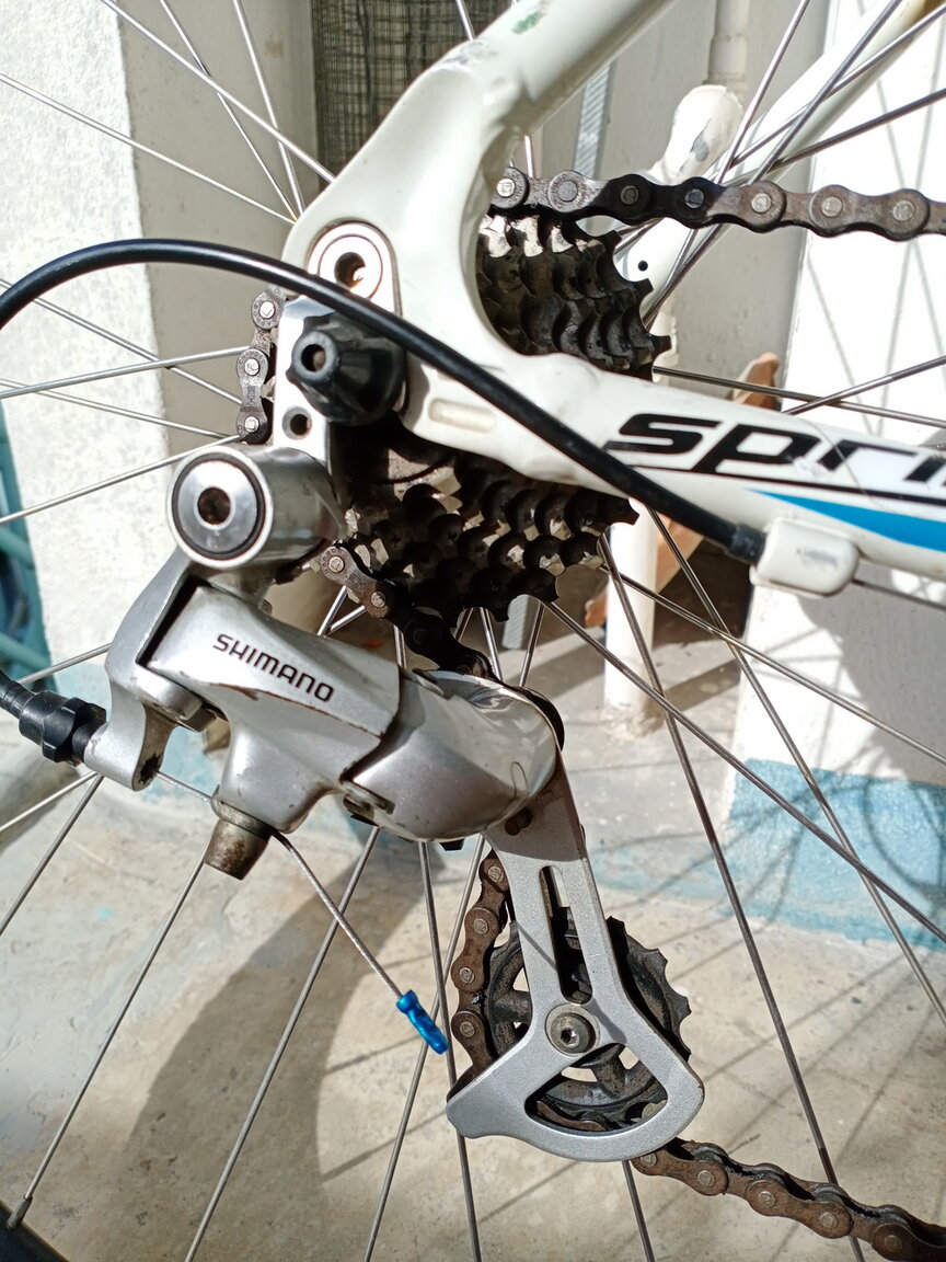 IMG_20201220_152148.jpg