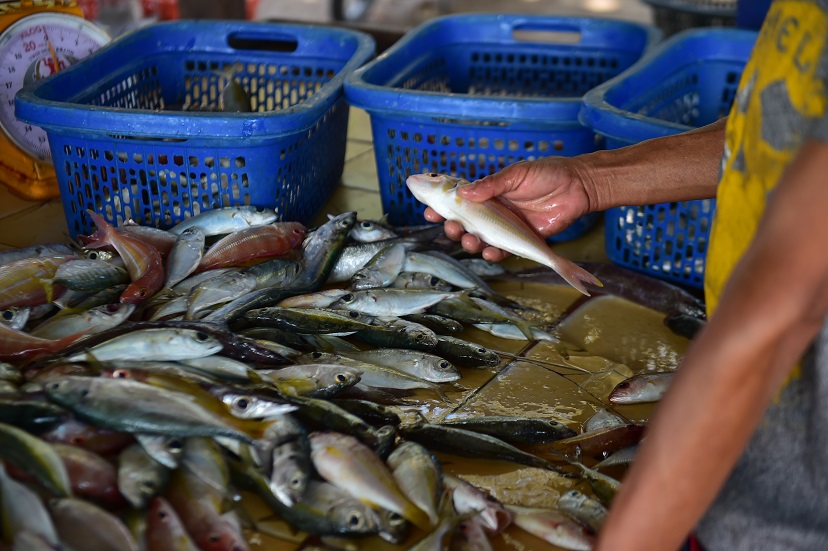 Thailand-Seafood.jpg