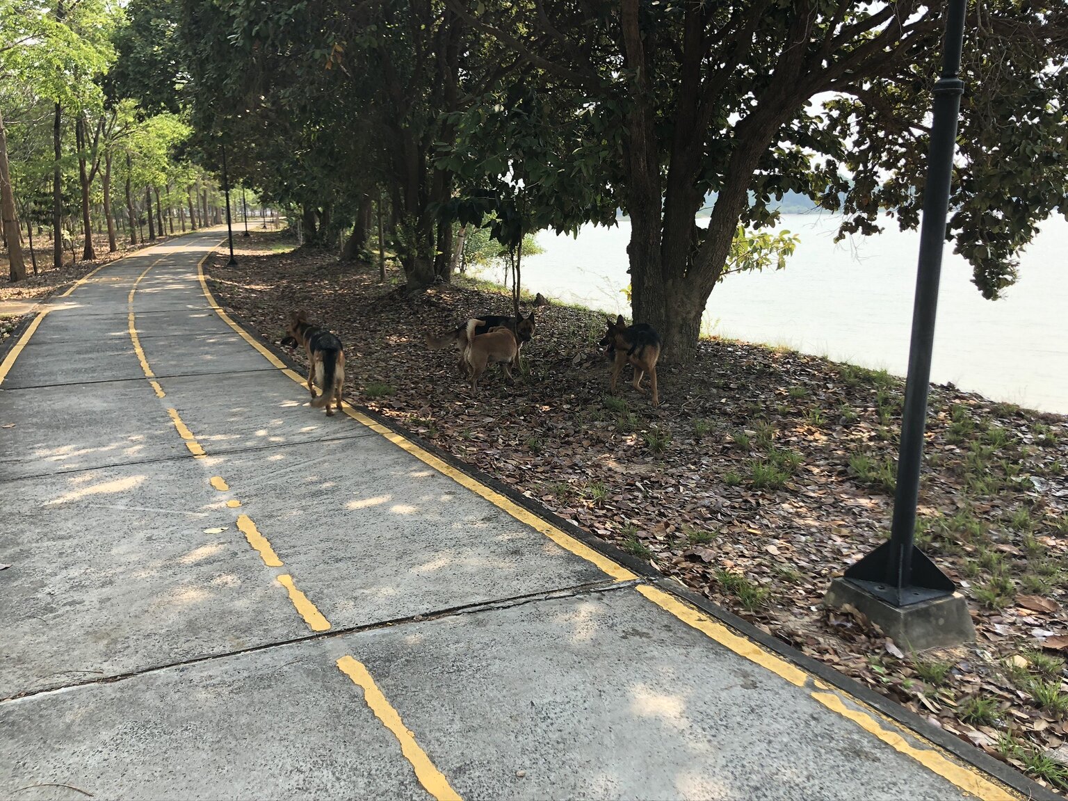 Walkway.jpeg