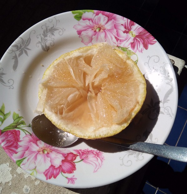 grapefruit.jpg.63ae0d24d58baf368cfc4f558f168b4e.jpg