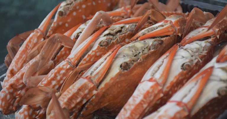 seafood.jpg