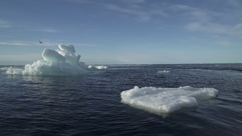 2021-01-25T093459Z_2_LYNXMPEH0O0IN_RTROPTP_4_CLIMATE-CHANGE-ICE.JPG