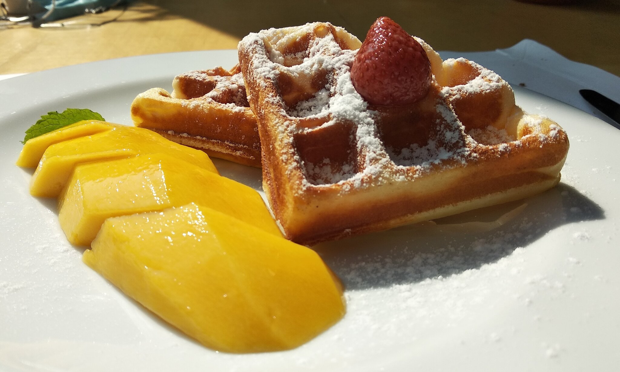792994851_SGSWaffle.thumb.jpg.82a340bb1e9baa6e2ce50953a735da08.jpg