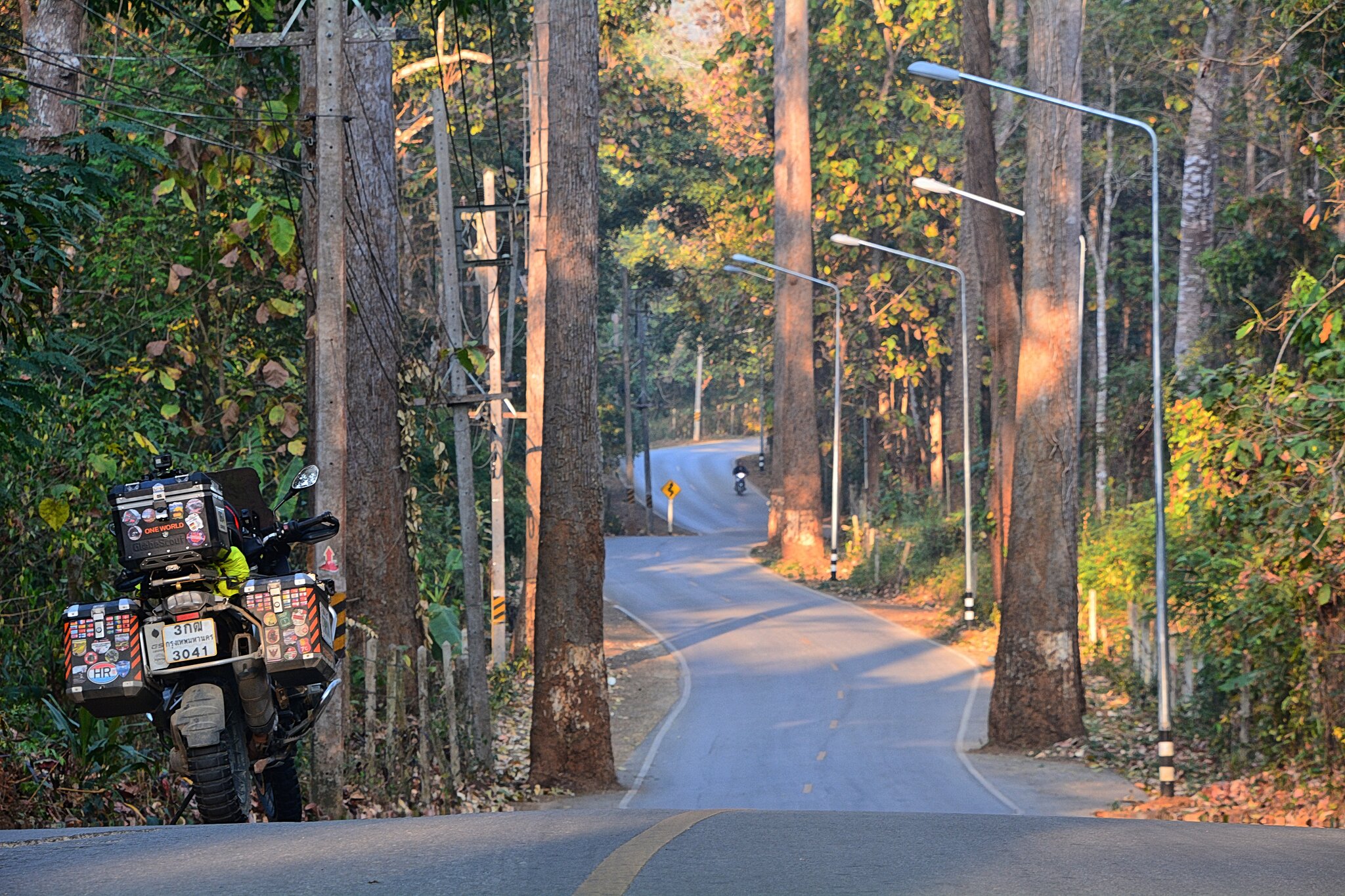DSC_7106ps.jpg