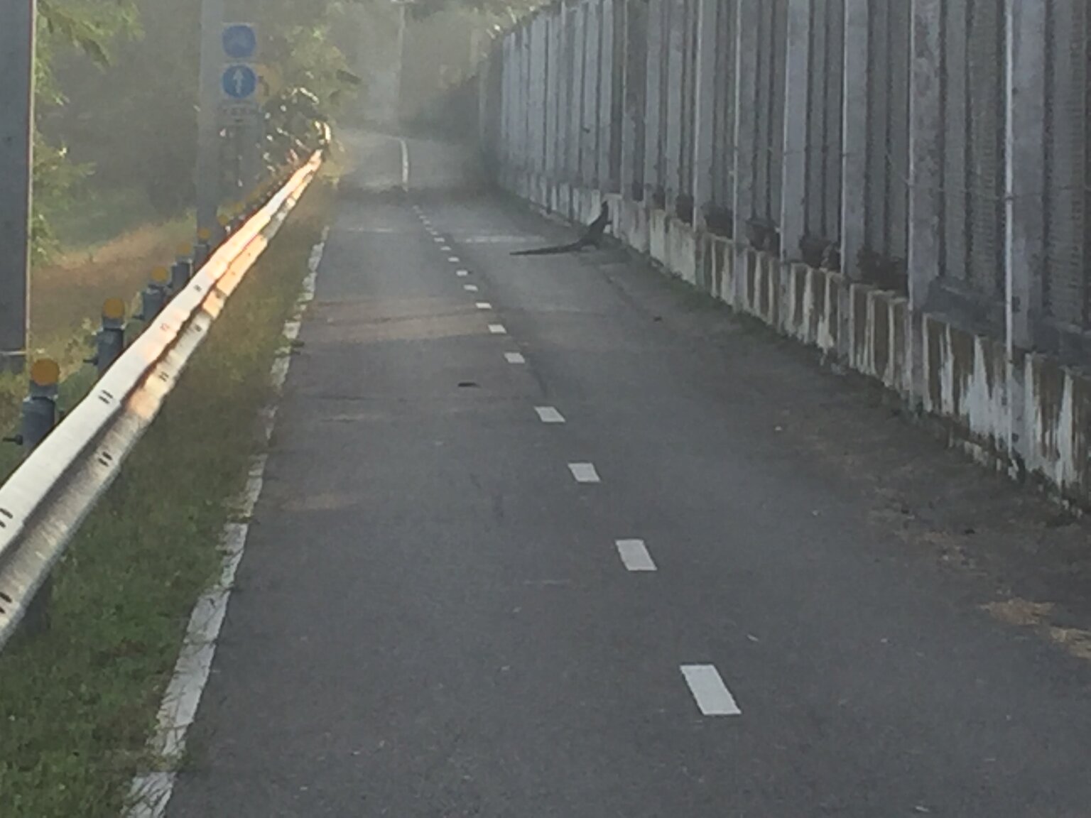 FD3F2061-D081-461A-8FF8-580251EFDA19.jpeg