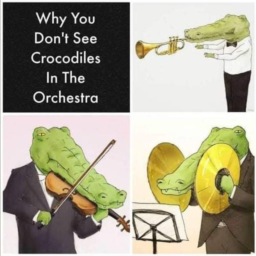 OrchestralCrocs.jpg.6dc8c831cc5d0db847b710cb75a45fdc.jpg
