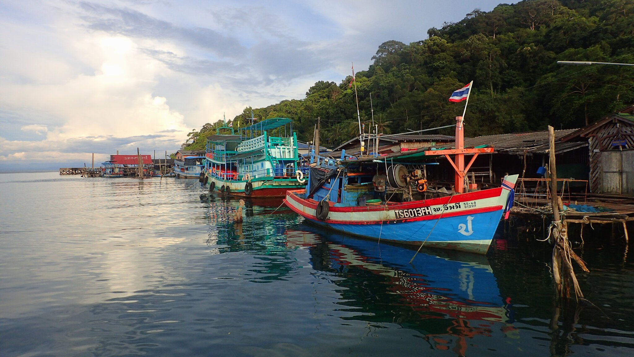 PA210513ps.jpg