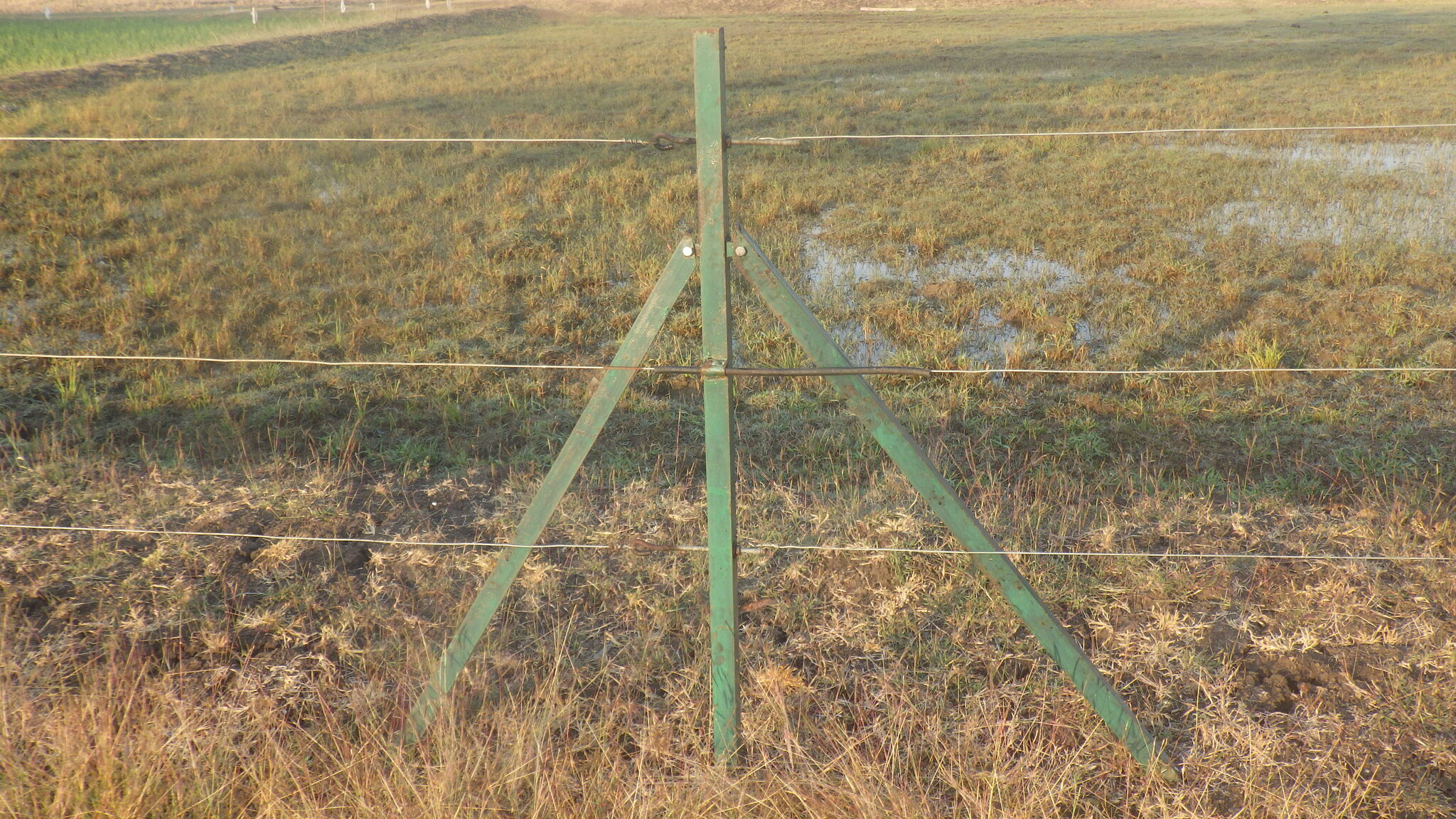 RIMG1620.JPG