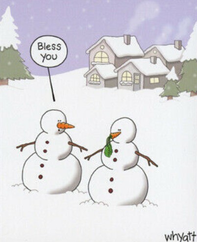 SnowmanBlessYou.jpg.a240af3e920618d559622a50176e2a04.jpg