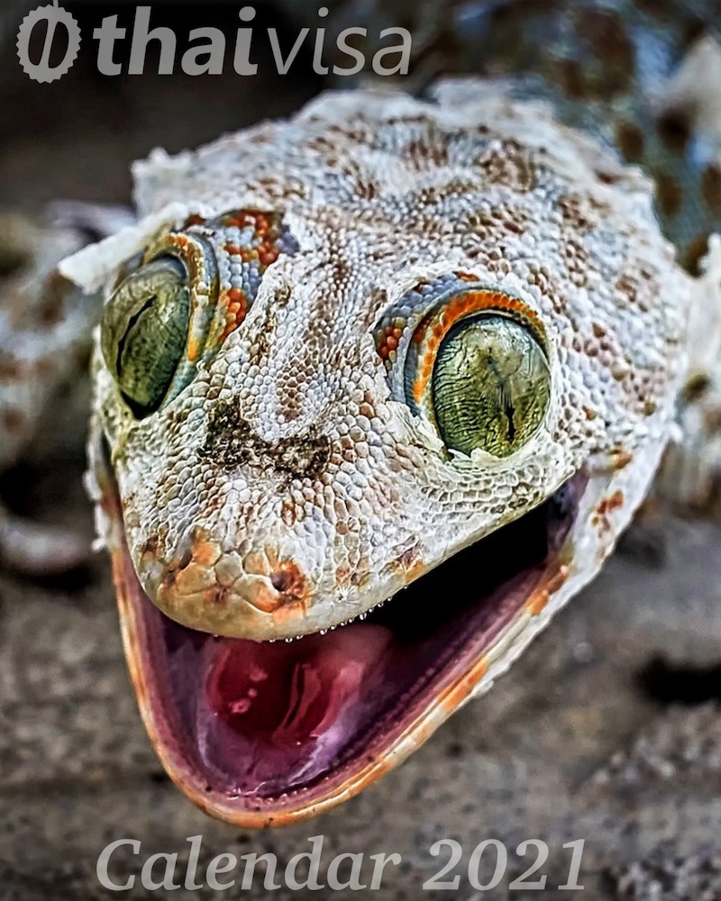 cover.jpg.a81ca856a50b3858c52e7871631f7840.jpg