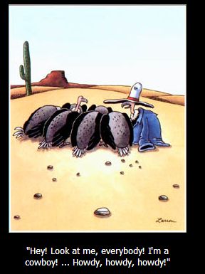 howdy.jpg.dc43b04da41deed02cdf97879f65437b.jpg