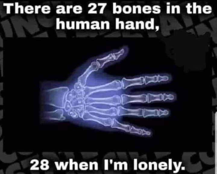 image.png.3b5f7c09efff310996bc69e7f112e0cb.png